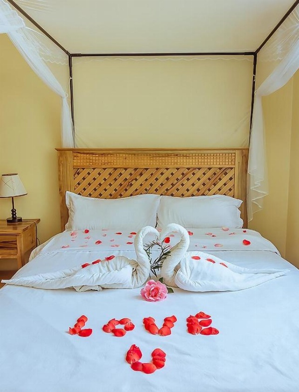 Rayan Apartments & Safaris image 3